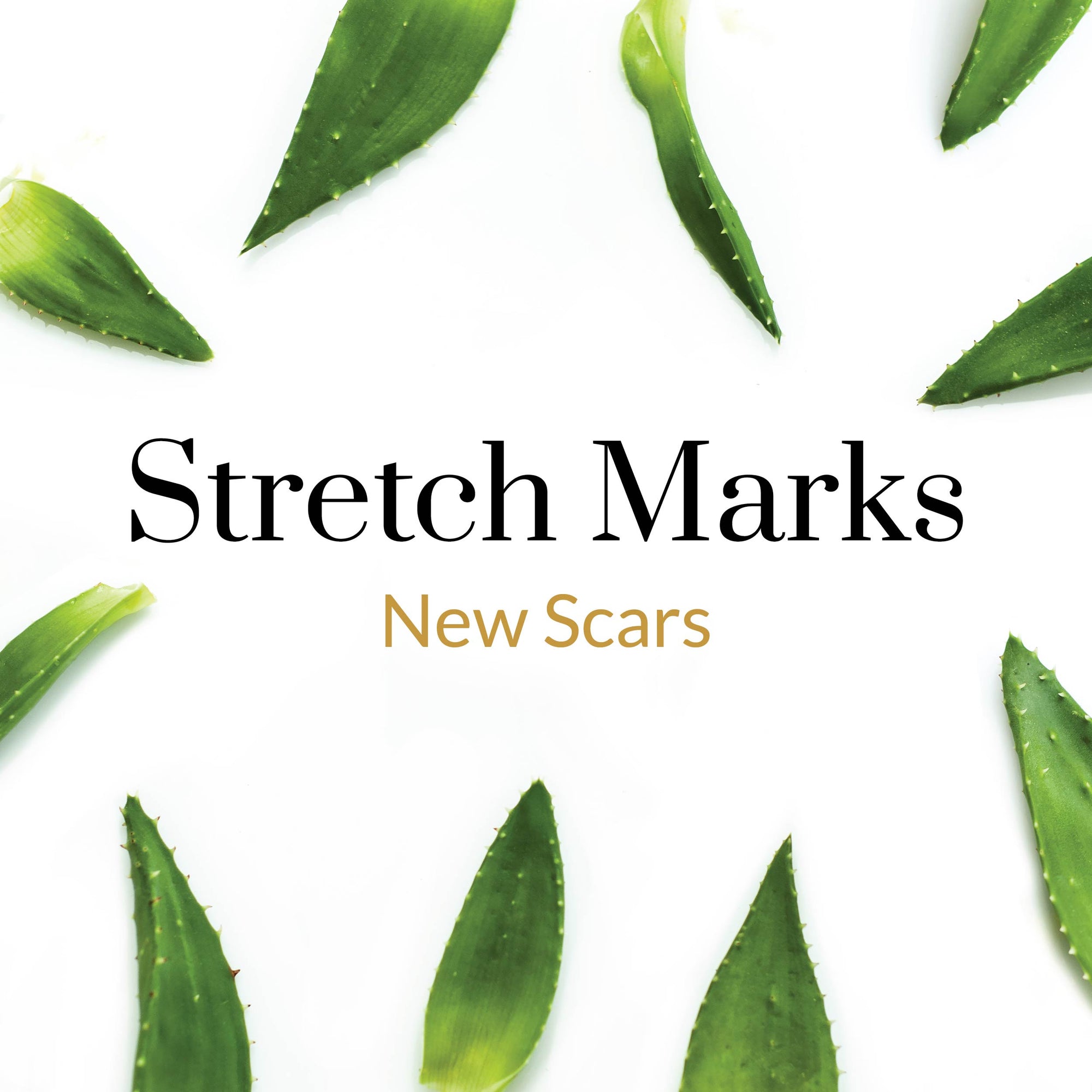 New Scars - Stretch Marks