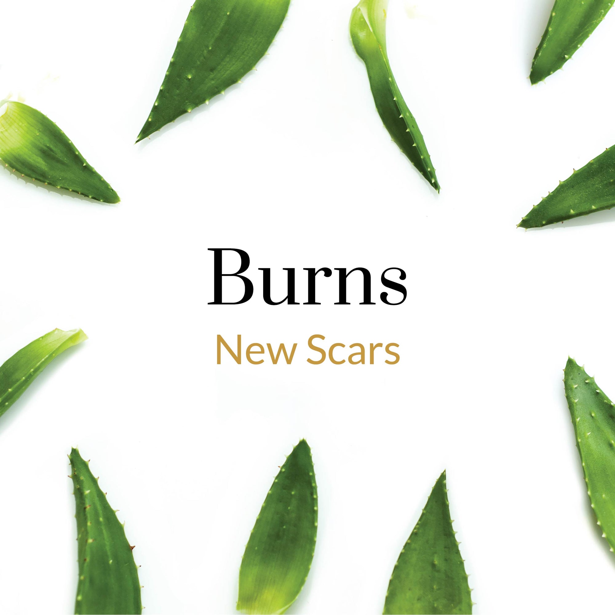 New Scars - Burns