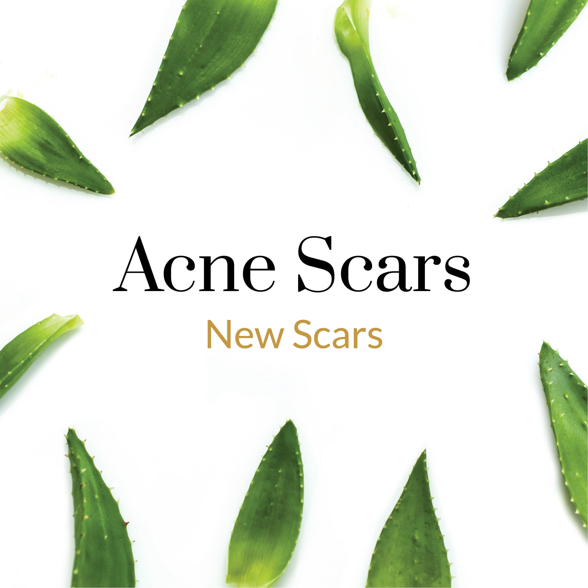 New Scars - Acne